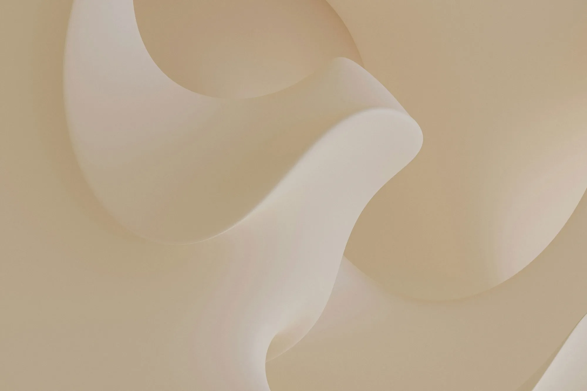 Consultorio Áurea Pelvic House